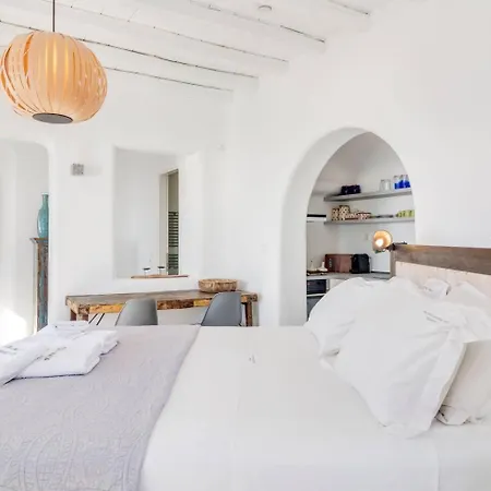 Aquata Boutique With Pool בית נופש Mykonos Town